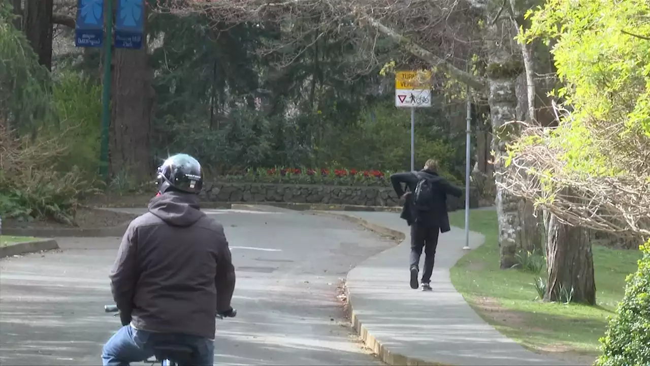 Victoria councillor wants vehicle traffic to return to Beacon Hill Park road