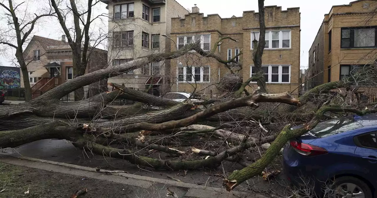 Chicago forecast: Wind advisory in effect until 4 p.m. with gusts up to 70 mph, possible
