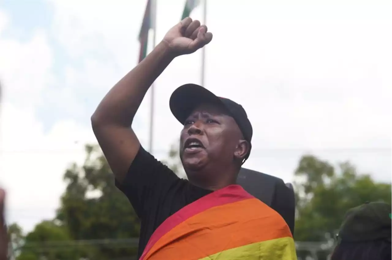 WATCH | Gay rights are human rights. EFF protests Ugandan anti-homosexuality bill | City Press