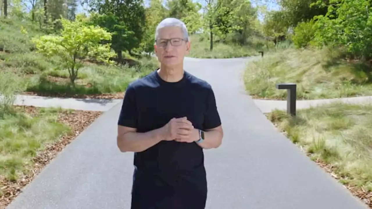 Apple CEO Tim Cook shares his No. 1 strategy for clearing his head: 'It's better than any other thing you could possibly do'