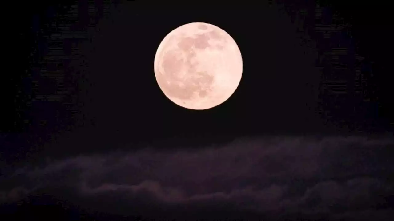 Superluna rosa de abril de 2023: qué significa, a qué hora y cómo verla