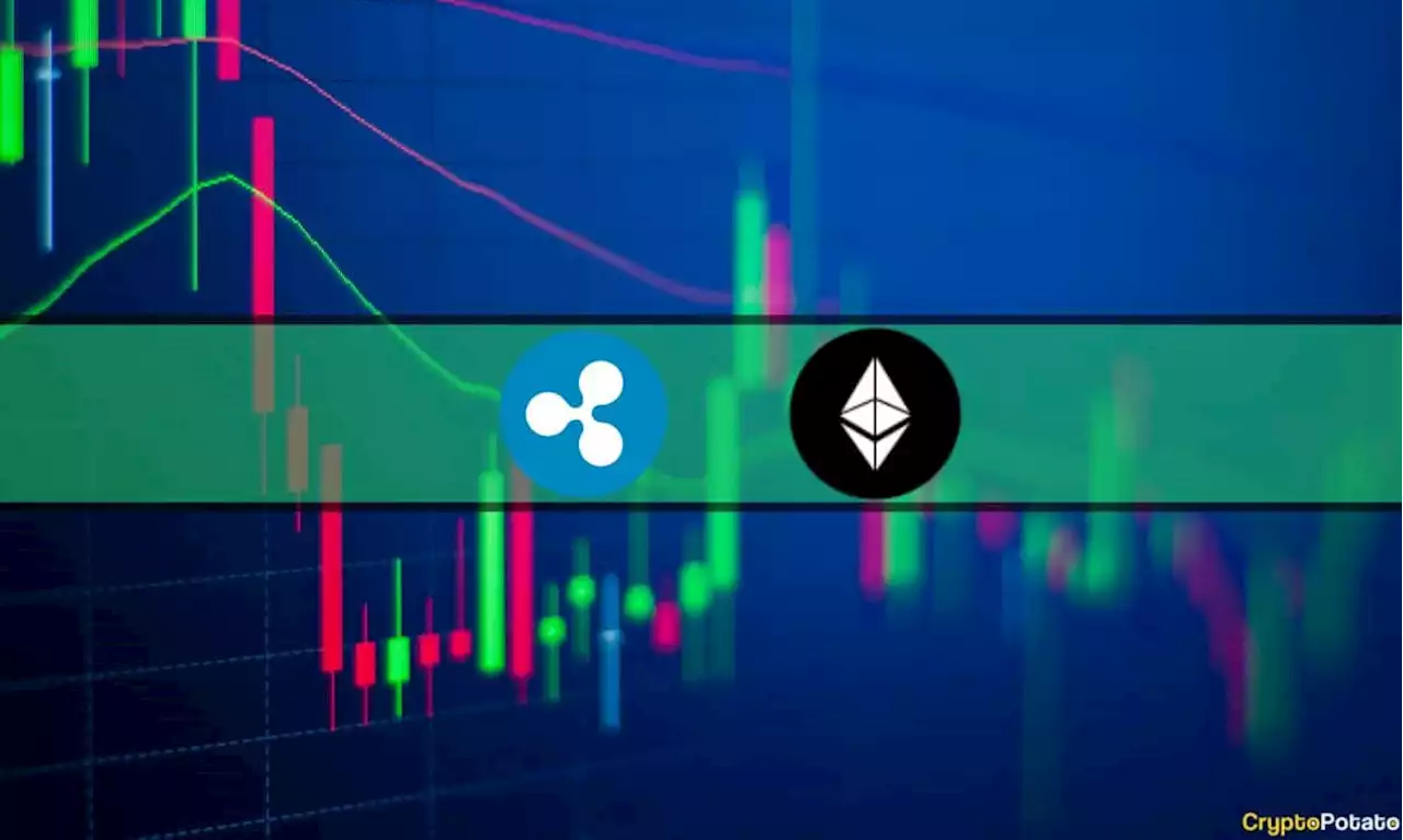 Ethereum Shots Up to 8-Month High, Ripple Gains 5% Daily (Market Watch)