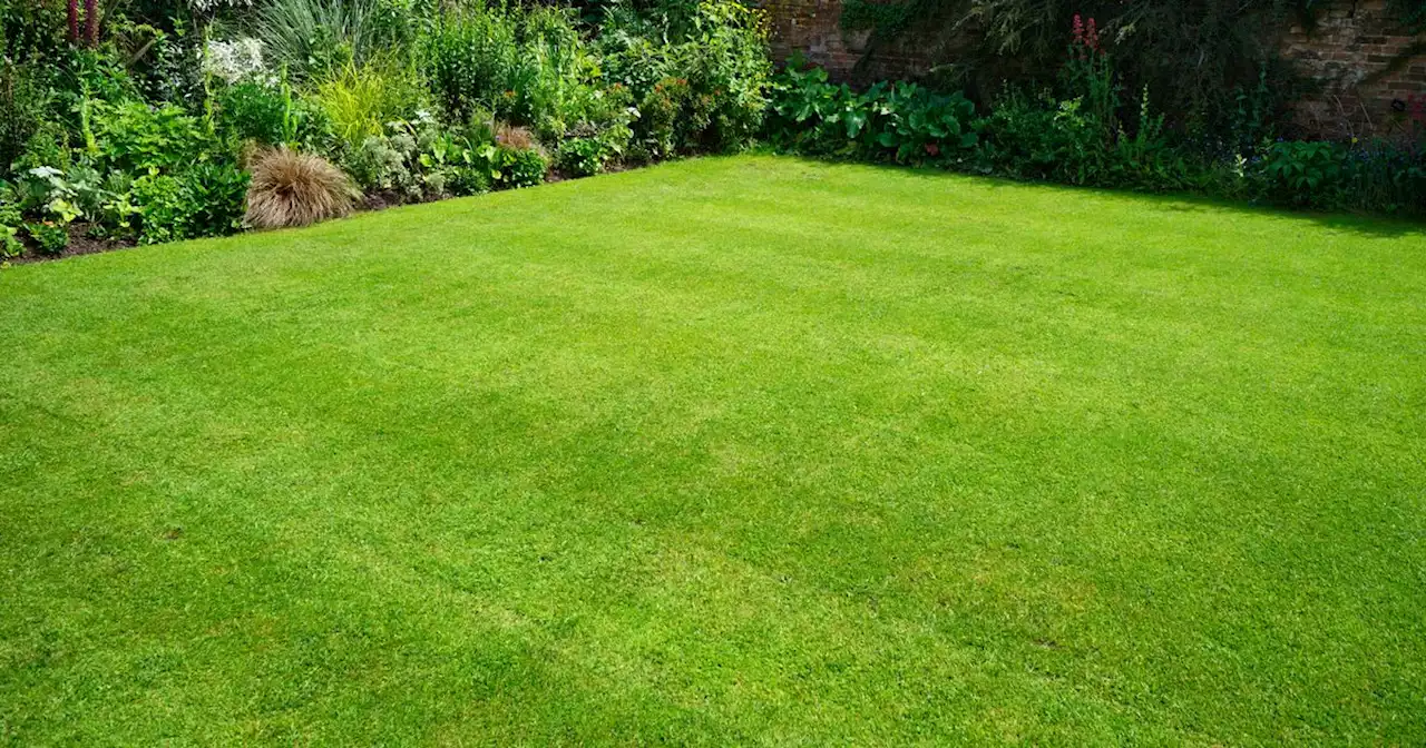 Gardening expert shares clever strimmer trick to get edges trimmed in seconds