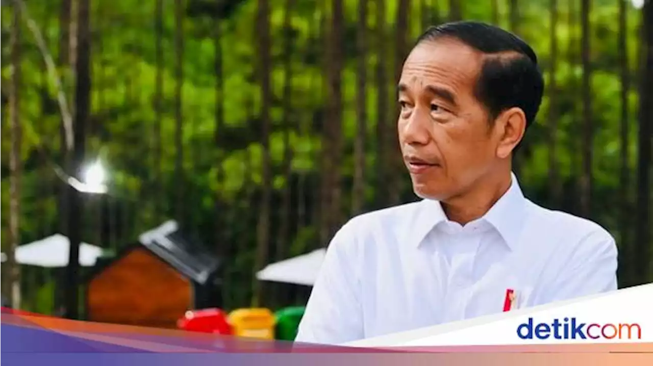 Jokowi 'Jualan' Proyek IKN ke Investor Habis Lebaran