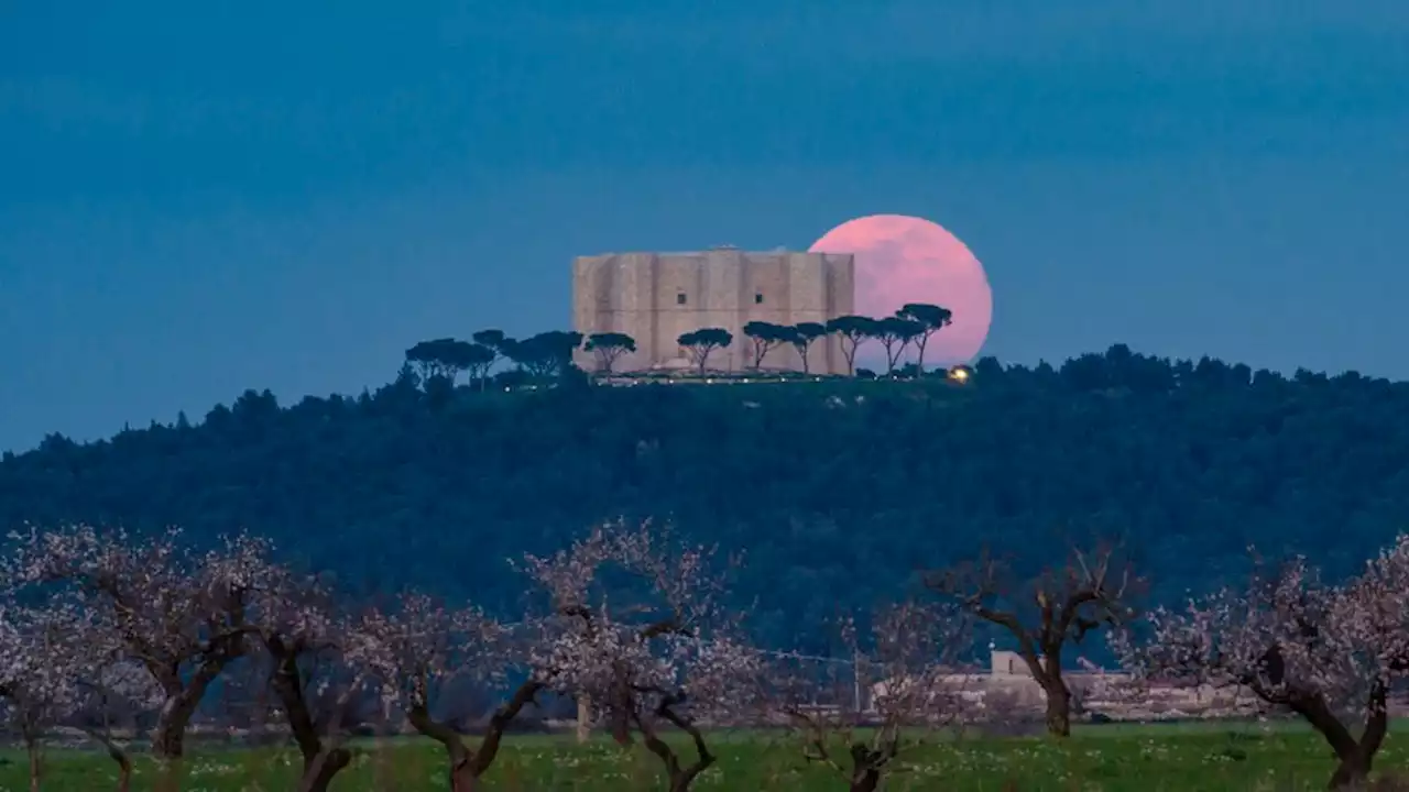 Cuándo es la Luna Rosa y qué hacer para ver este fenómeno en todo su esplendor