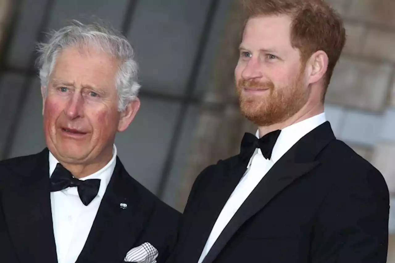 Prince Harry ‘Tried To See King Charles’ During U.K. Trip, But Was Told He Was ‘Too Busy,’ Royal Expert Says