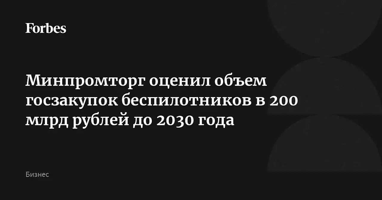 Минпромторг оценил объем госзакупок беспилотников в 200 млрд рублей до 2030 года