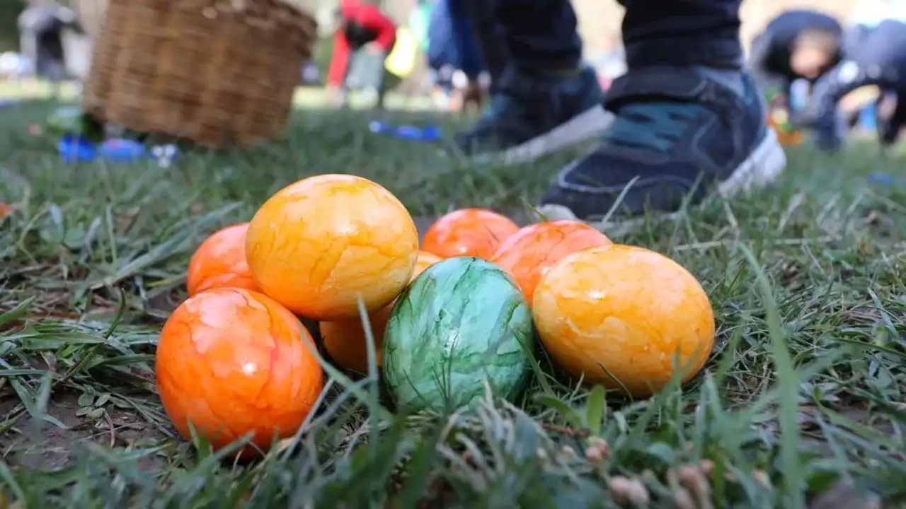 Things to do this weekend: Easter egg hunts, free movie nights, new Houston Zoo exhibit