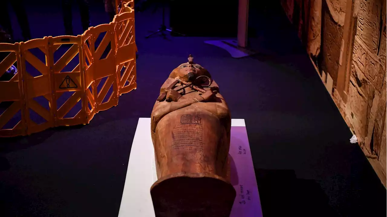 ENTRETIEN. Exposition Ramsès II à Paris : son sarcophage 'va peut-être frapper par sa simplicité', décrit l'égyptologue Chloé Ragazzoli