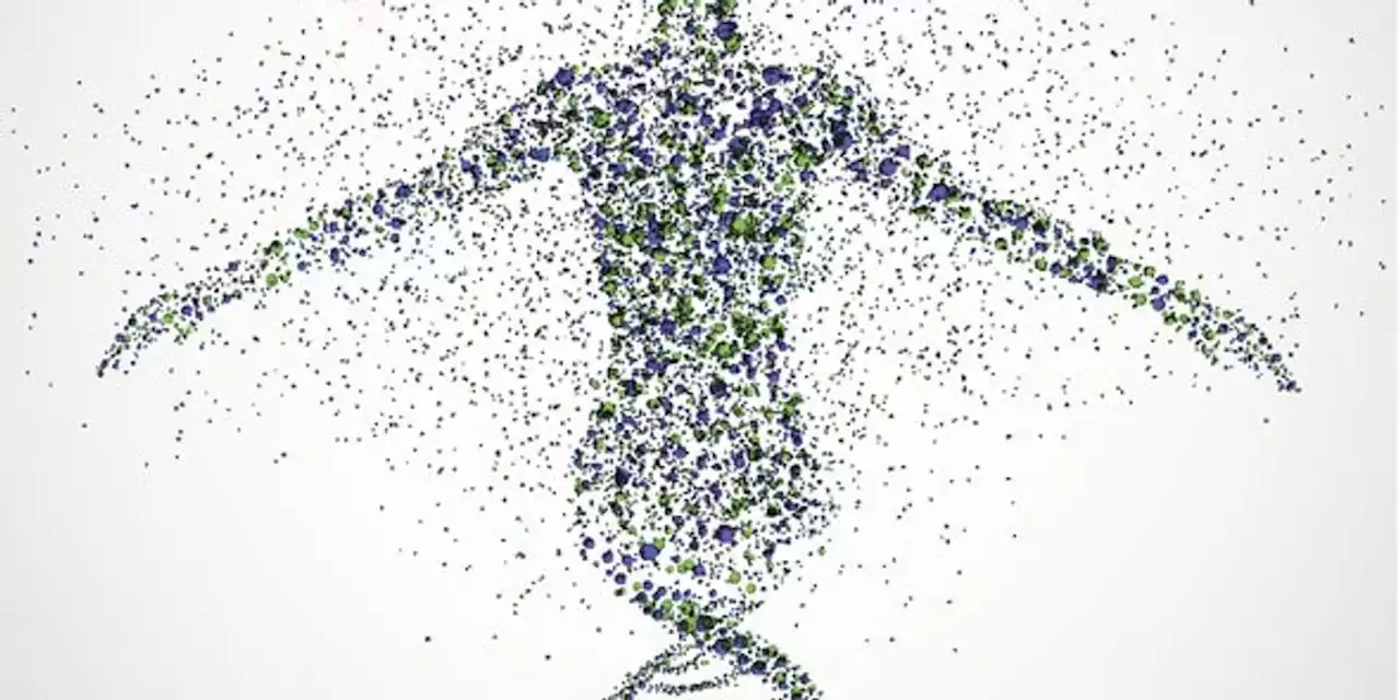 How Do Genes Affect Your Health?