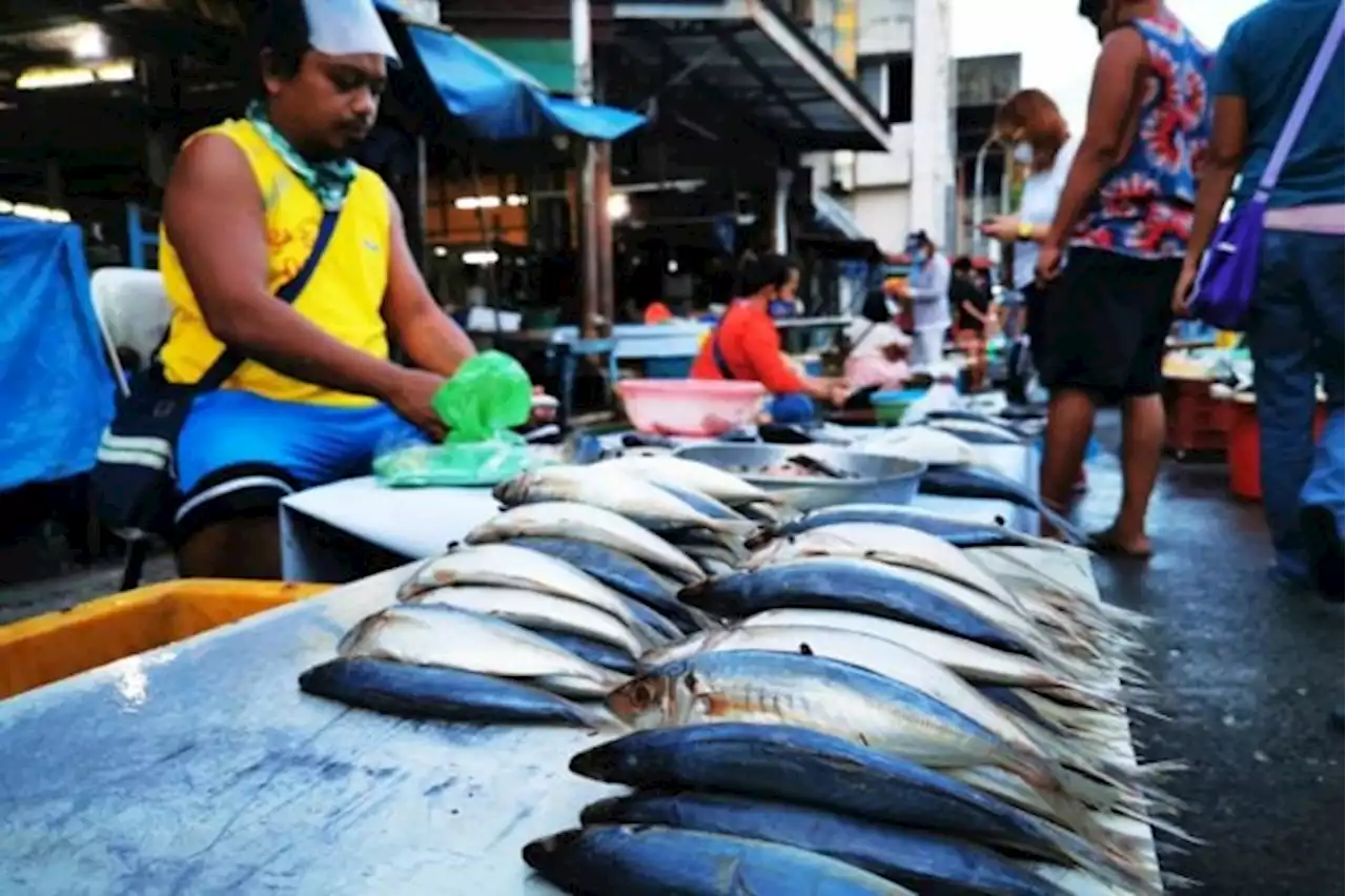 DA-BFAR vows stable fish prices despite Holy Week demand