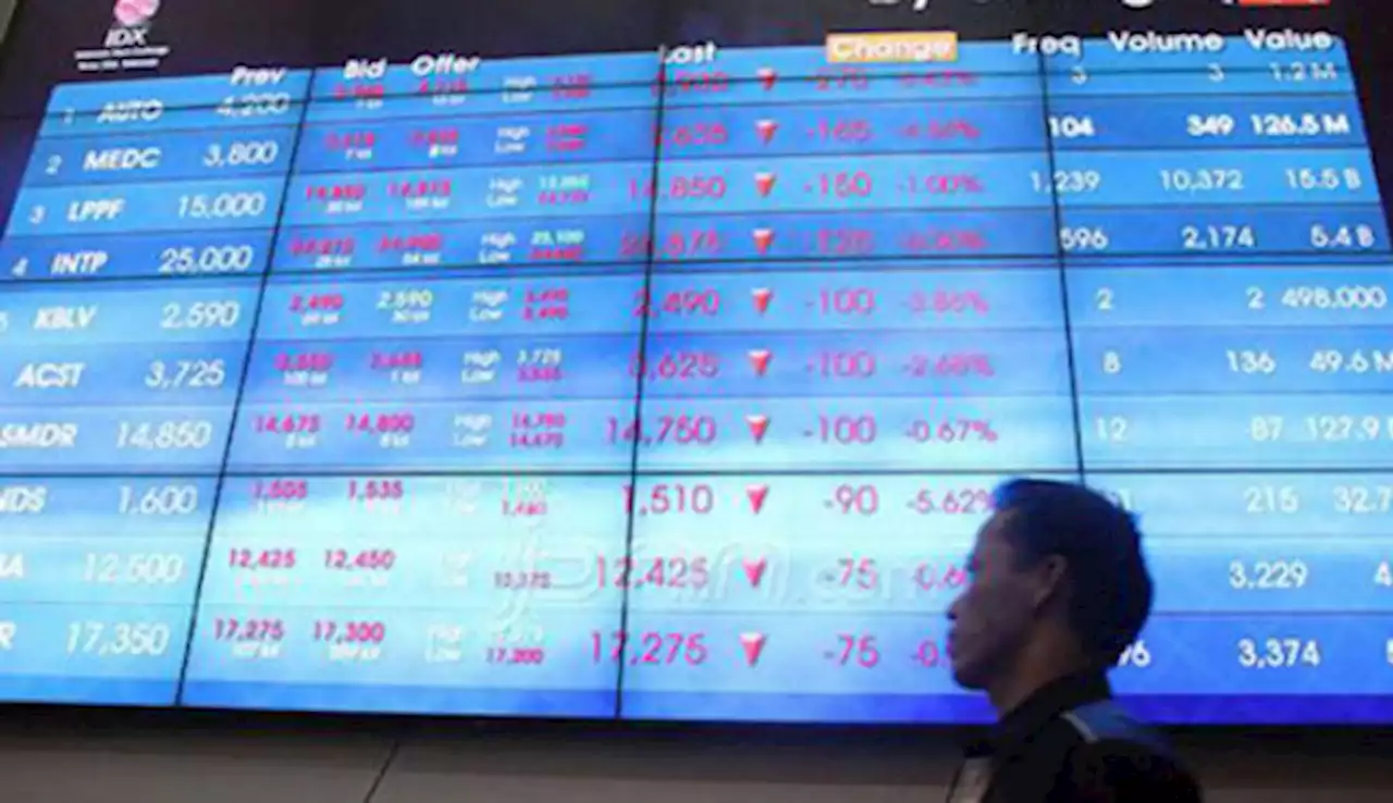 IPO Berbeda dengan Privatisasi, Simak Kata Pakar Hukum Pasar Modal