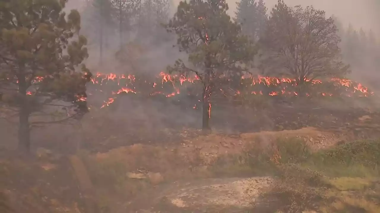 DNR expands ‘Wildfire Ready Neighbors’ program to Western Washington ahead of wildfire season