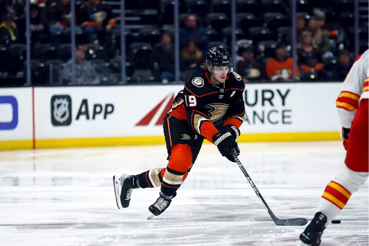 Troy Terry back for now for Ducks’ game vs. Oilers