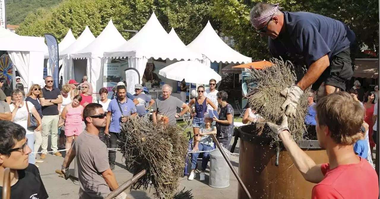 Pas de 101e anniversaire pour la Foire de la lavande de Digne-les-Bains