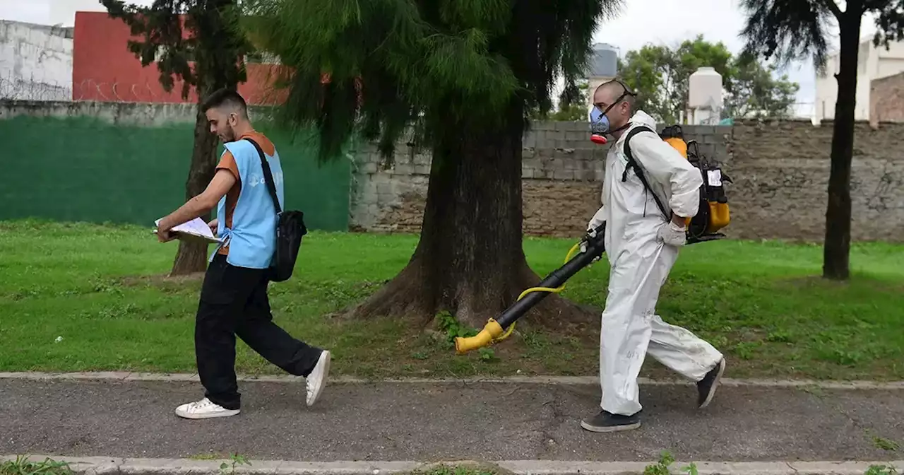 En una semana se duplicaron los casos de dengue en Córdoba | Ciudadanos | La Voz del Interior