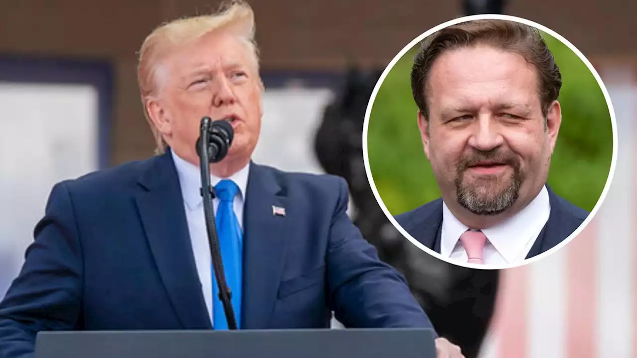 'Absolute bloody travesty': Ex-Donald Trump aide slams 'un-American' case against former President