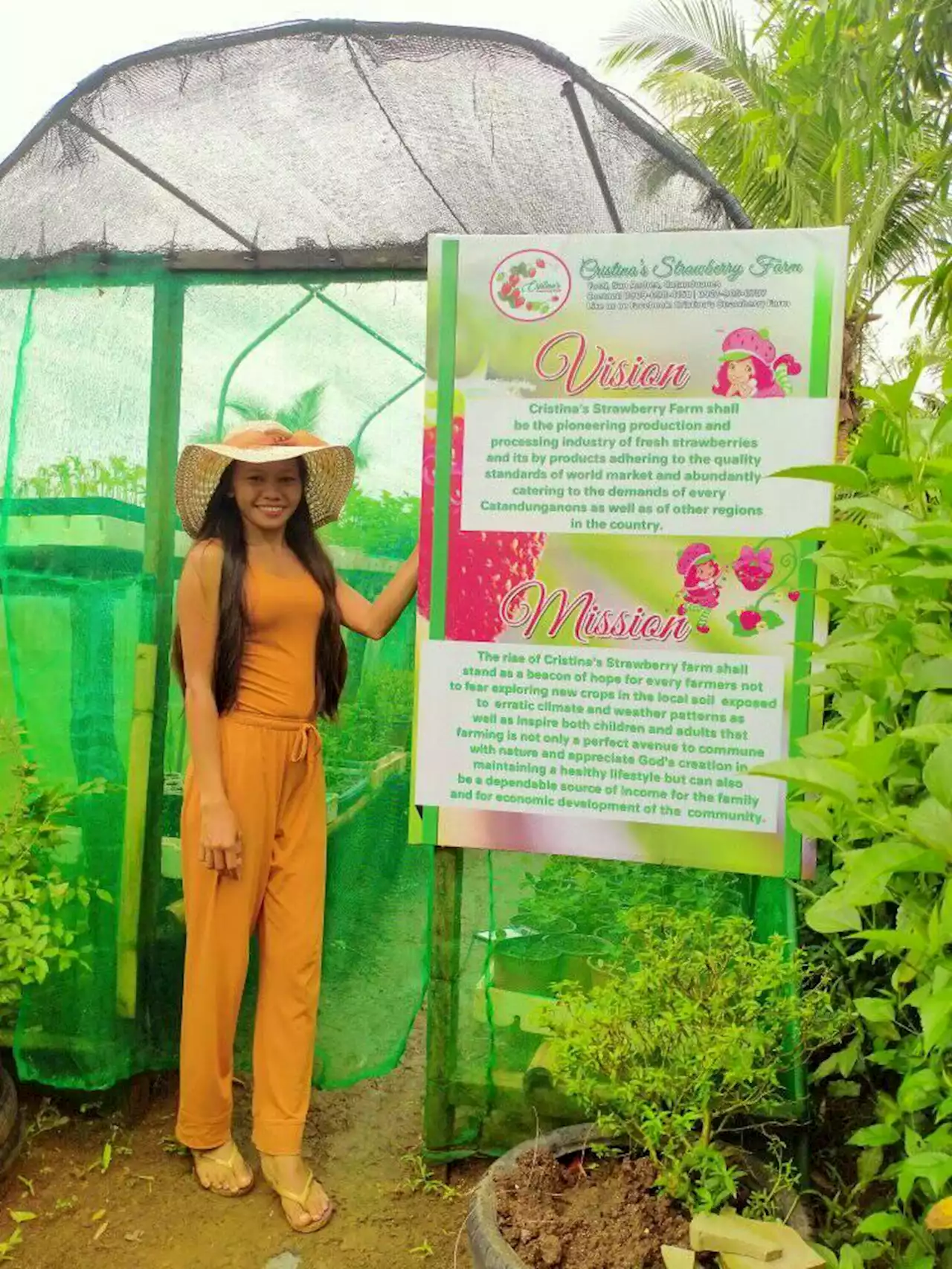 Catanduanes farm cultivates the youth's interest in sustainable farming practices through strawberry farming