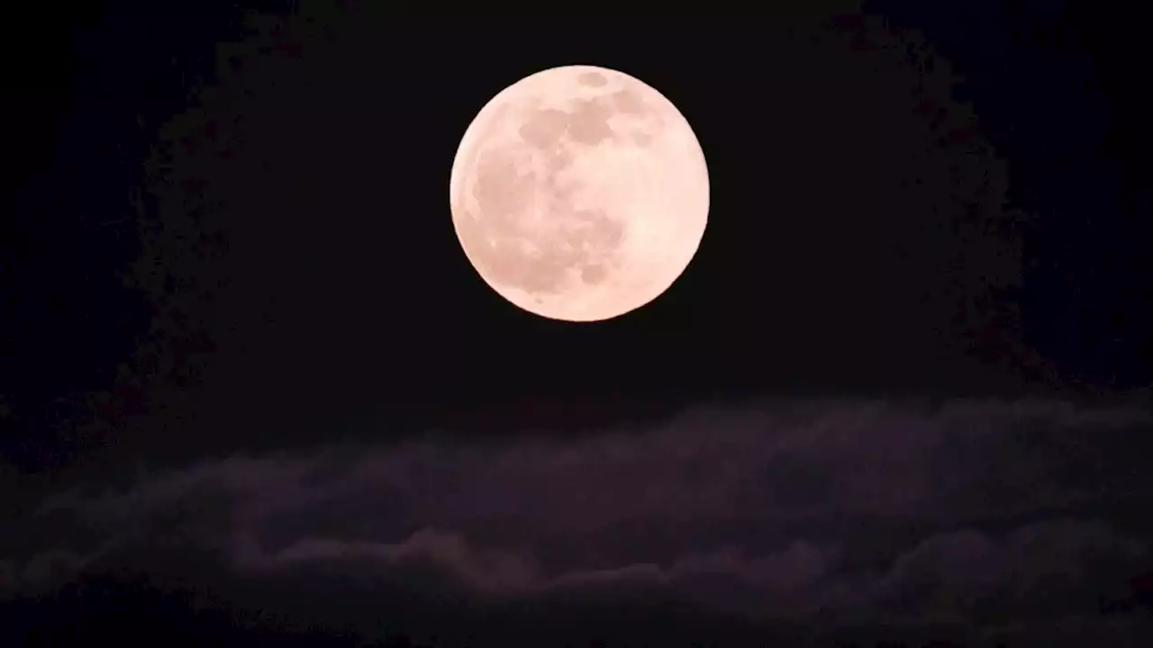 April’s full pink moon will rise this week