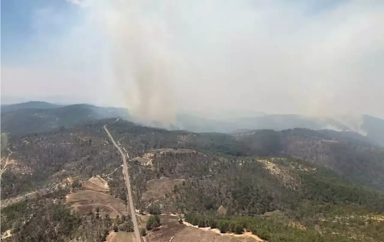 Oaxaca. Despliegan helicóptero bomba para combate de incendio forestal