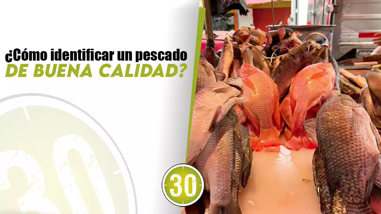 Revisa el ojo del pescado y más tips para evitar intoxicaciones en Semana Santa