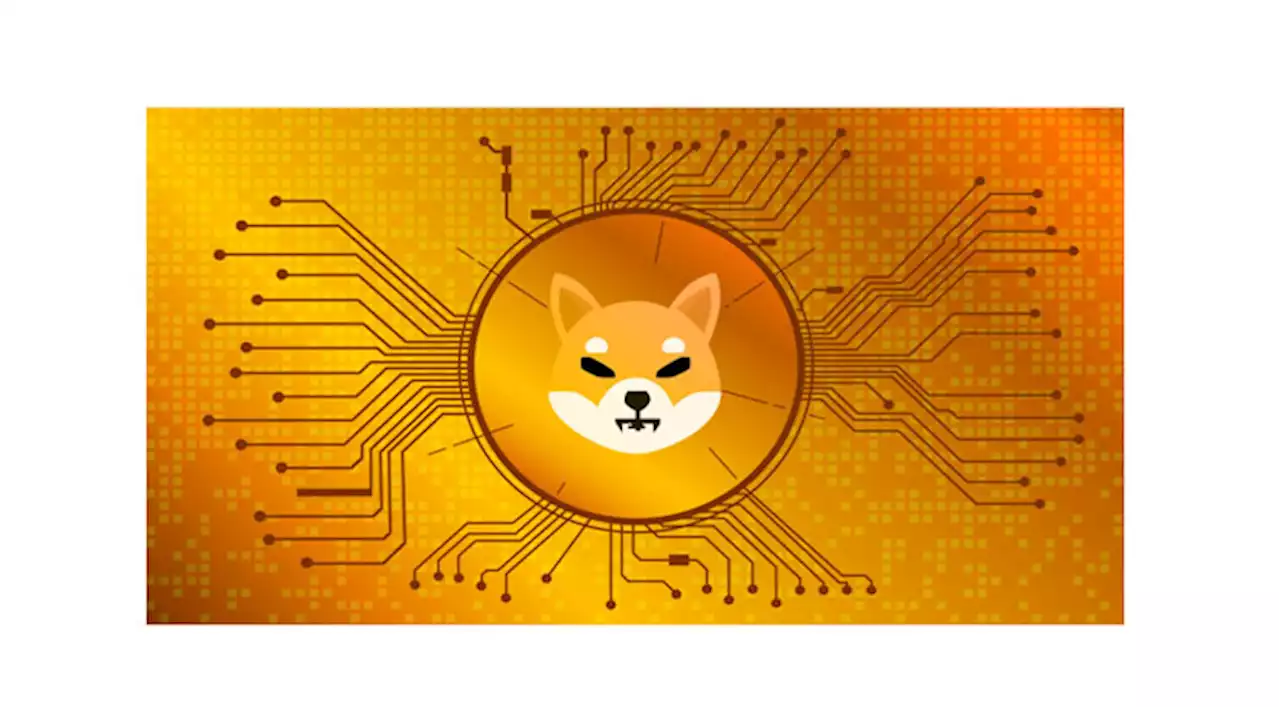 New Shiba Inu Rival DigiToads Emerges as a Clear Leader in the Meme coin Market