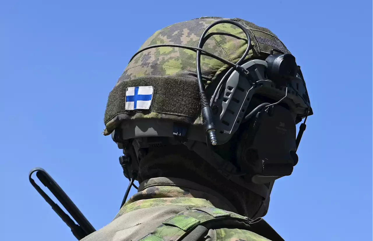 What Finland adds to NATO's military arsenal