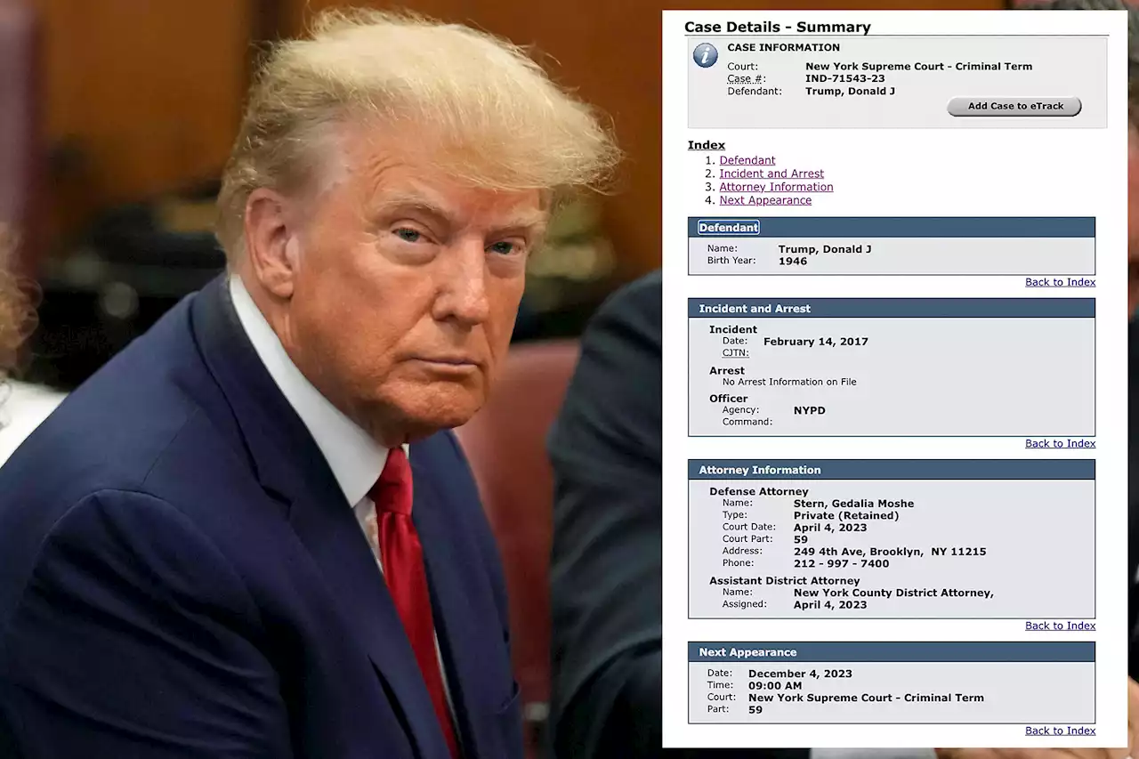 Donald Trump now officially in NY’s criminal record database