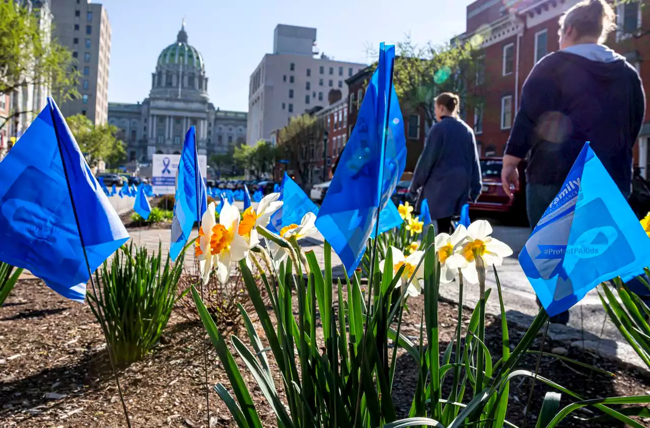 Blue flags planted to raise awareness of child abuse prevention month