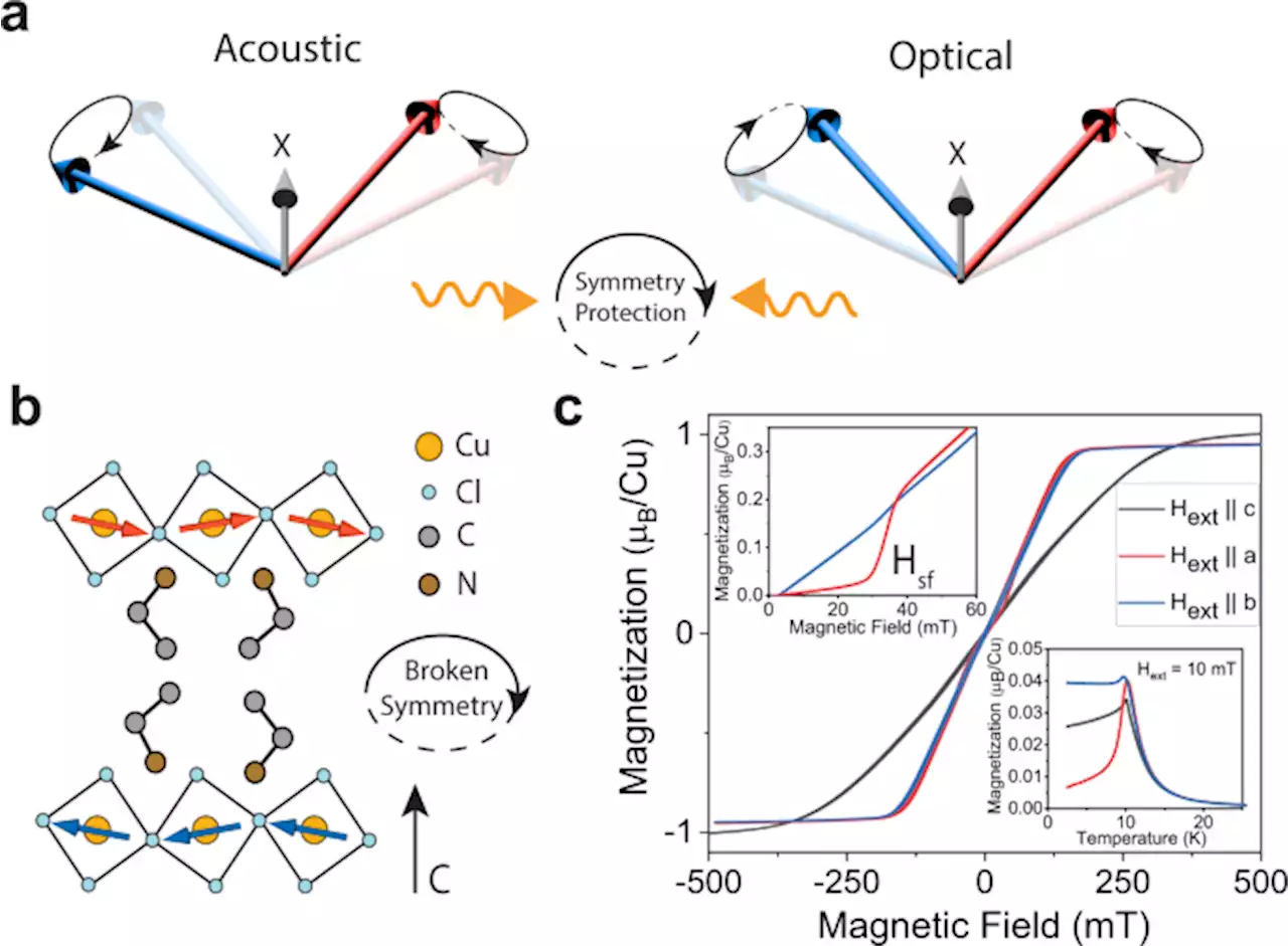 Hybrid magnonics in hybrid perovskite antiferromagnets - Nature Communications