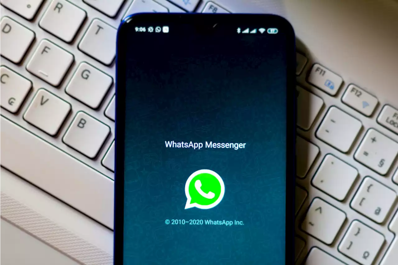 WhatsApp: activar el modo 'superinvisible' es posible siguiendo estos simples pasos - Pulzo