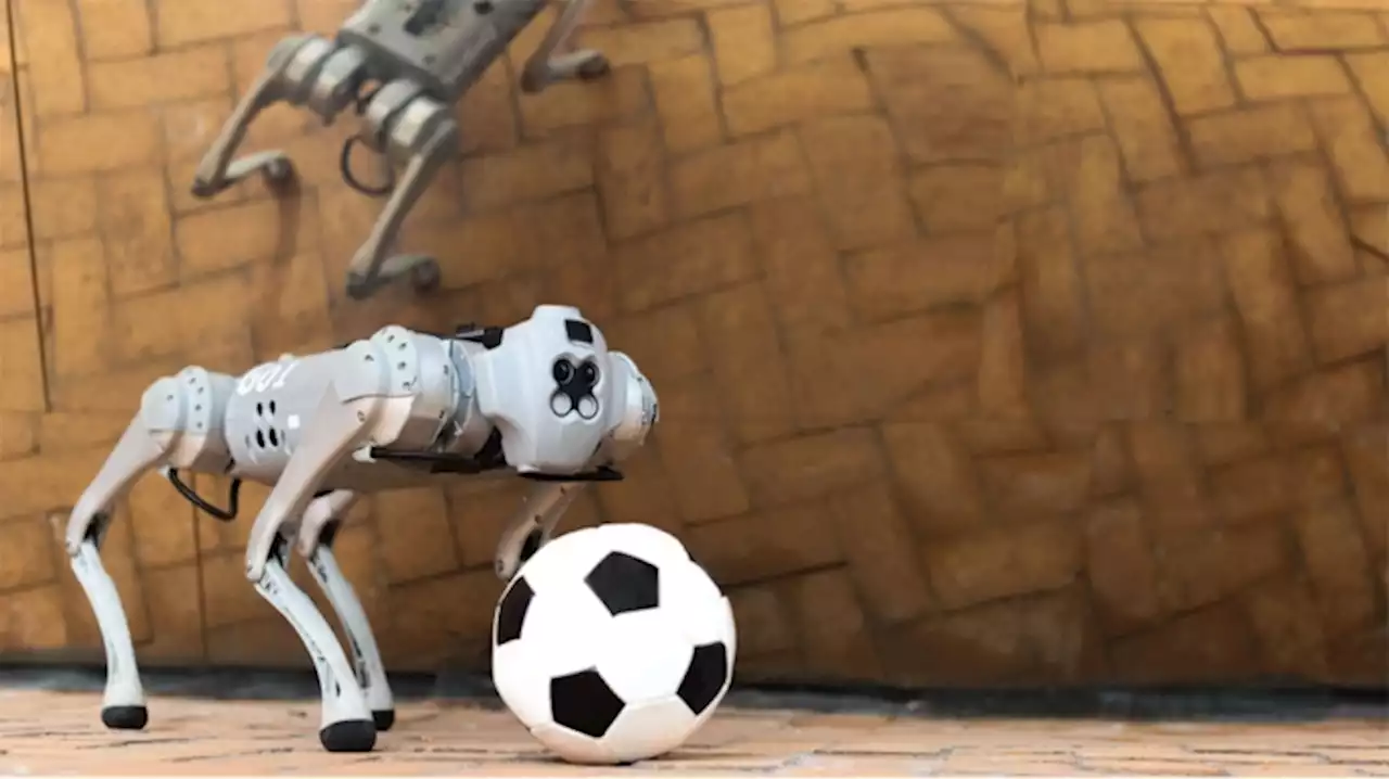 Meet Dribblebot, MIT’s New Soccer-Playing Robot ‘Dog’