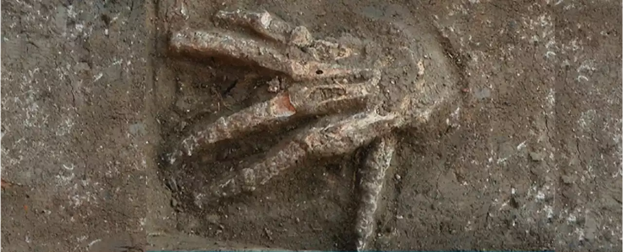 A Pit of Severed Hands Could Be The Remains of a Grisly Ancient Egyptian Ceremony