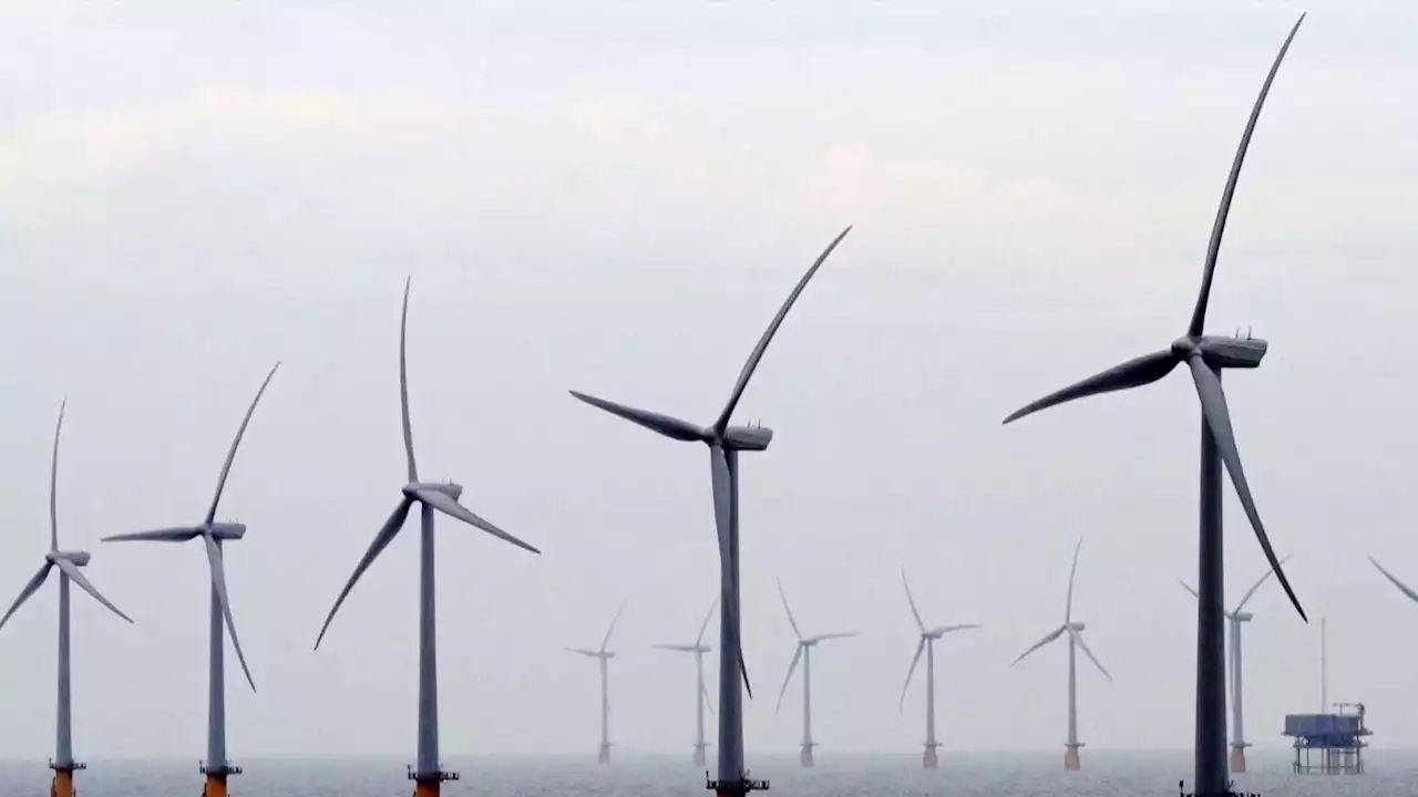 'Damning' report calls for major National Grid changes to prevent UK missing key wind power targets