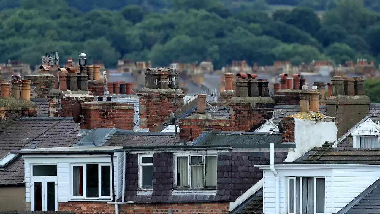 Greens promise 'immediate' rent freeze and eviction ban at local election launch