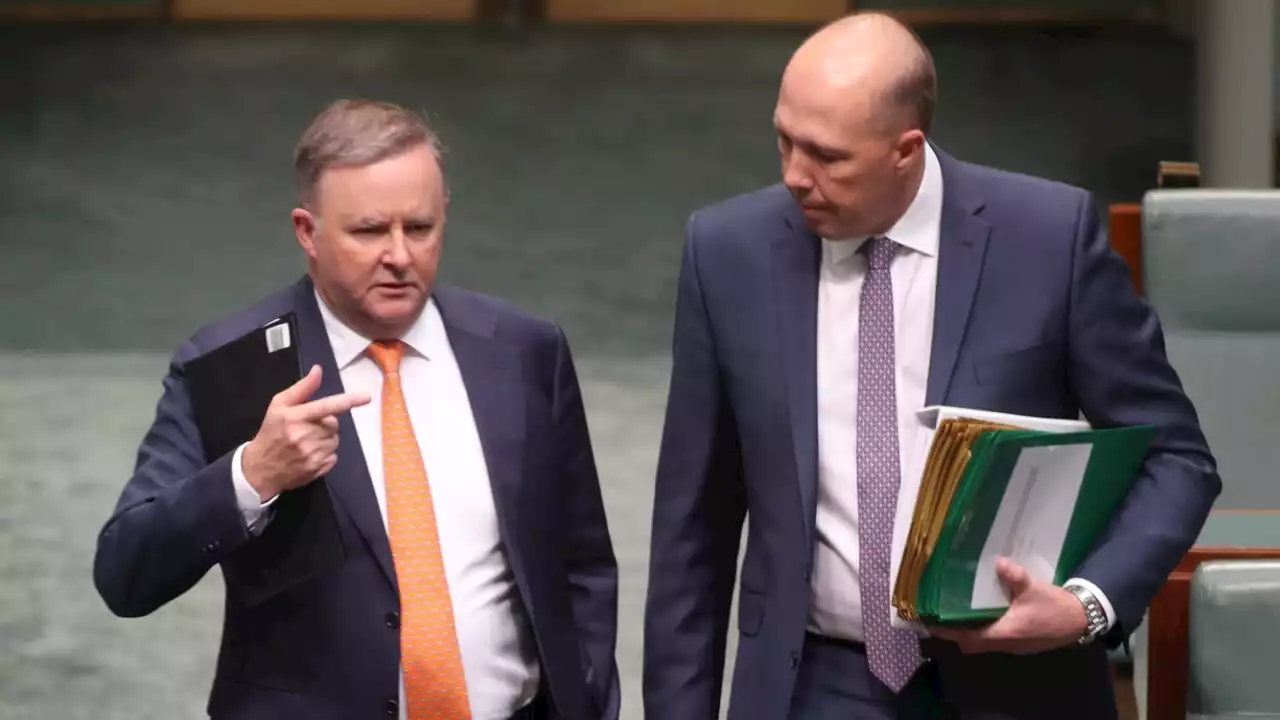 &#8216;Not a single word&#8217; was proposed by Dutton at Voice meetings: Albanese