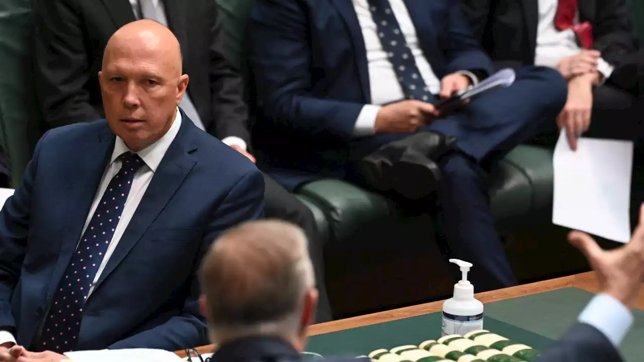 Peter Dutton to actively campaign against Voice