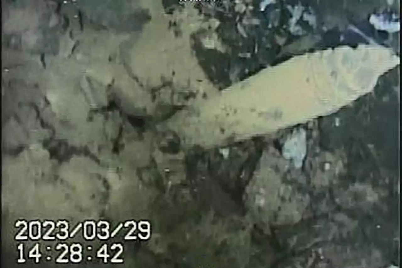 Video probe from inside Fukushima reactor shows heavy damage