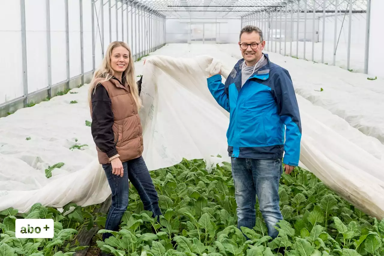 Bauernmarkt in St.Gallen startet in die neue Saison