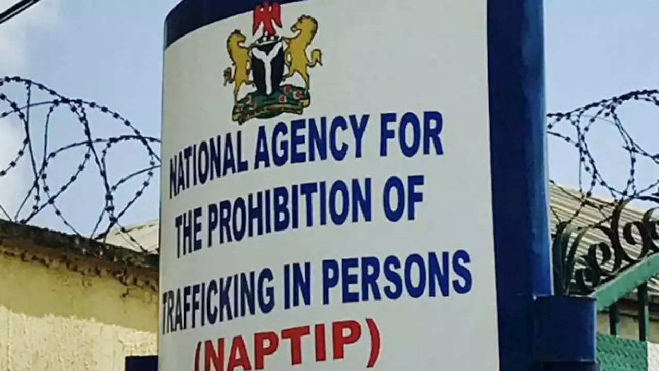 NAPTIP arrests members of 'notorious' sextortion syndicate in Abuja | TheCable