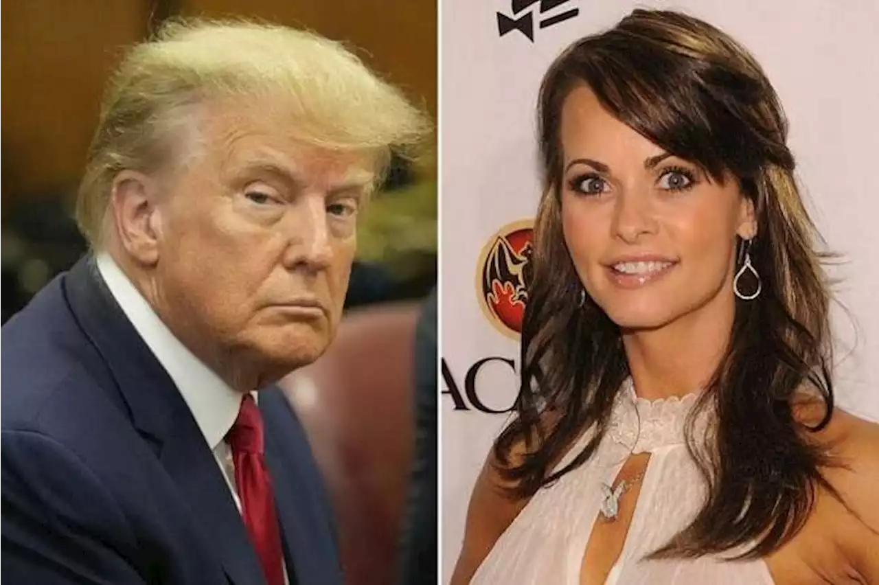 Who is Karen McDougal, the Playboy model in the Trump case?