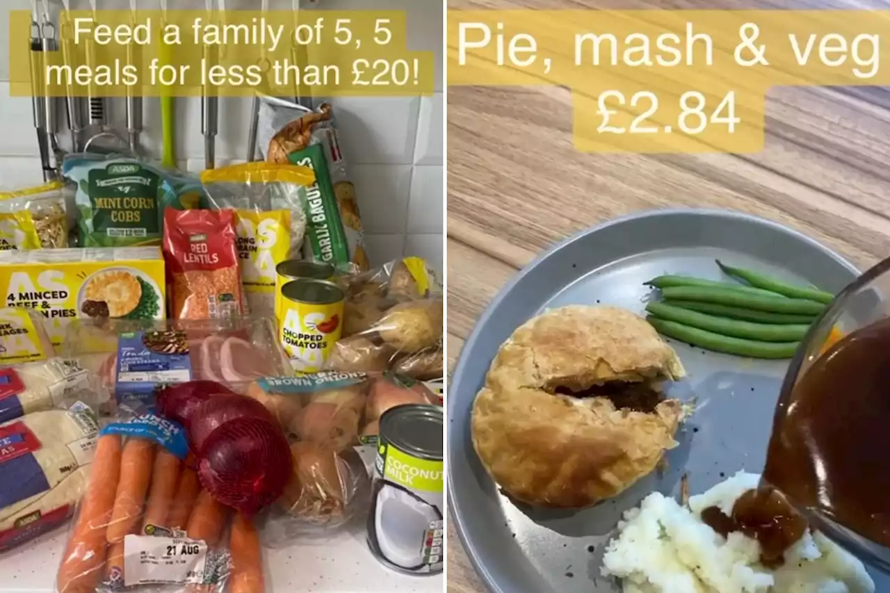 I'm a savvy mum and made a week's worth of dinners for just £20