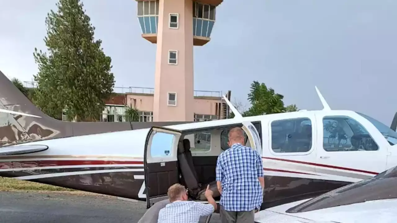 Pilot Makes Emergency Landing After Cobra Crawls into Cockpit