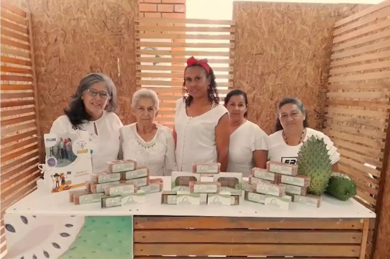 Conozca el bocadillo de guanábana, un proyecto de mujeres emprendedoras de Lebrija, Santander