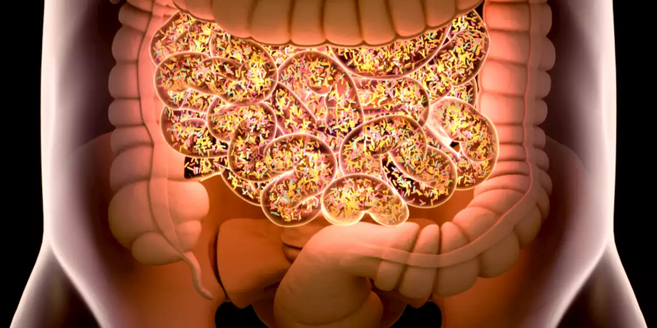 COVID Harms Your Microbiome and Long-Term Health: Study