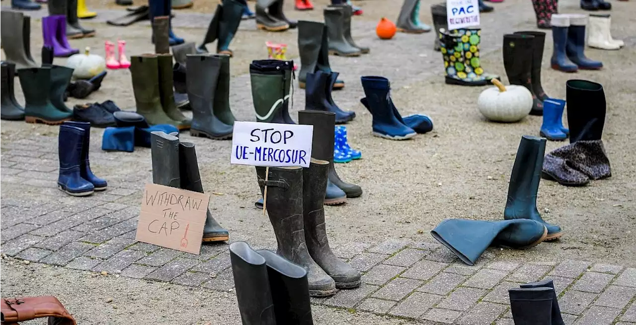 Handelspolitik - Debatte um Freihandel mit Mercosur-Staaten bricht nicht ab