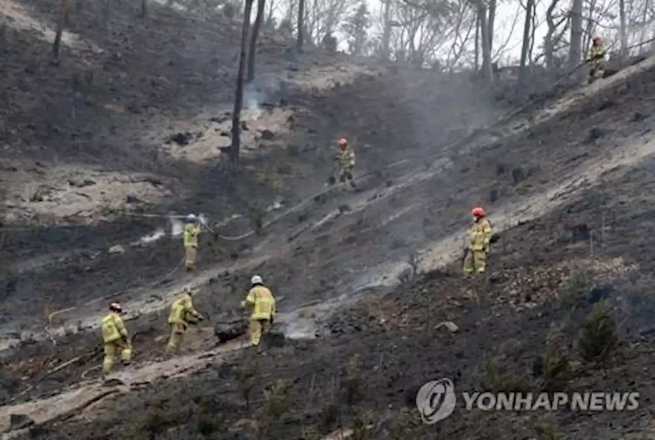 53건 산불에 3천91㏊ 피해…임도 확충·초대형 헬기 도입 필요 | 연합뉴스