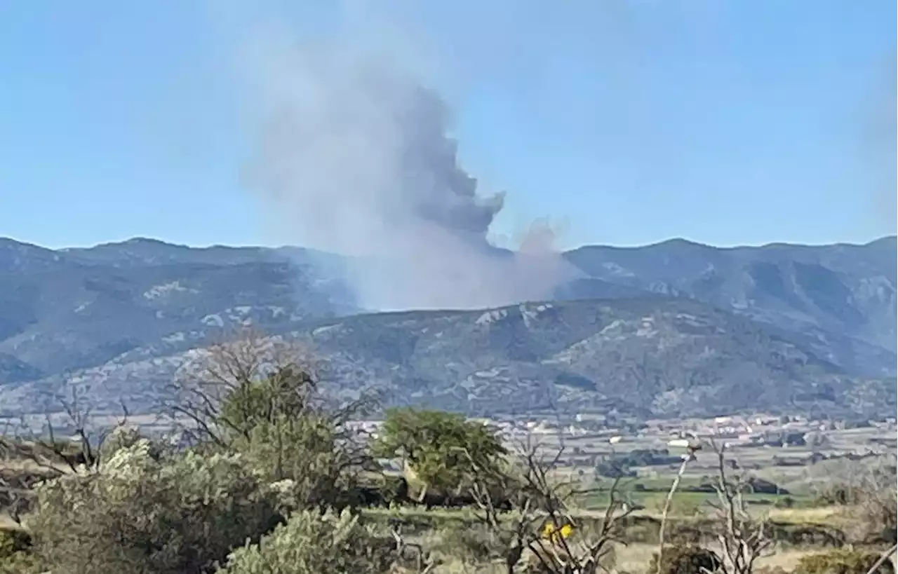 Un feu a brûlé plus de 20 hectares au nord-ouest de Montpellier