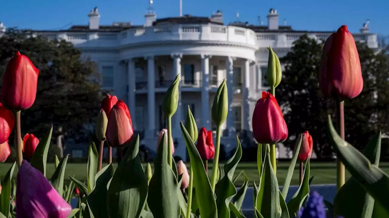 White House continues with 'EGGucation' theme for 2023 Easter Egg Roll