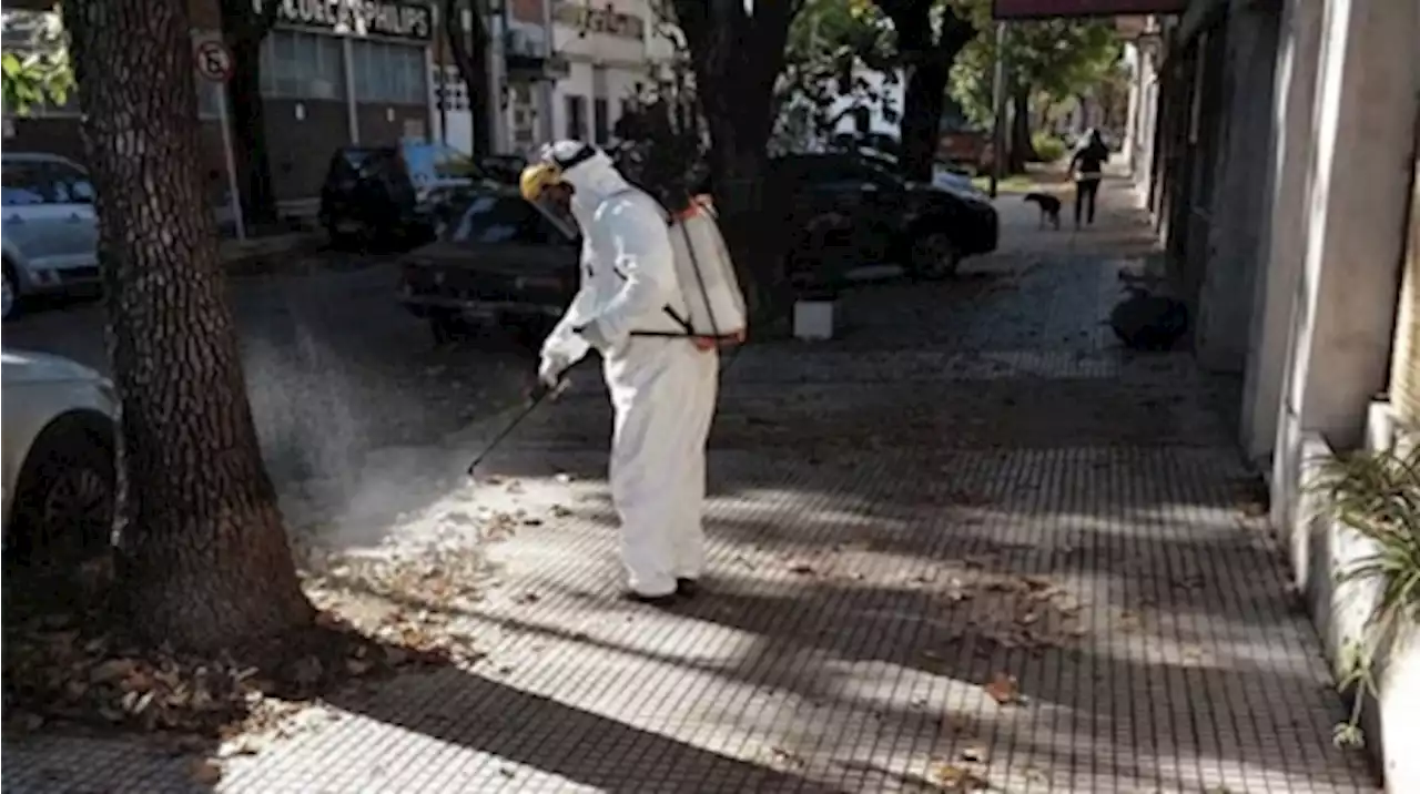 Proponen que el Gobierno porteño entregue gratis repelente de mosquitos por el dengue